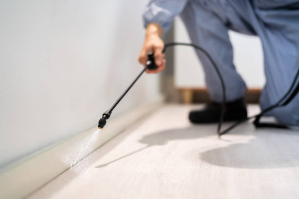 Licensed Fumigation Services service in Fresno, CA - Nex Pest Control