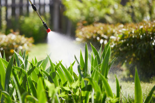 24/7 Emergency Fumigation Services experts in Fresno, CA
