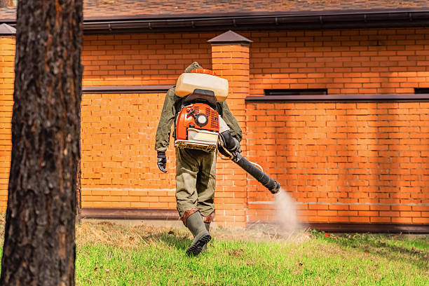 Top rated local Fumigation Services specialists in Fresno, CA